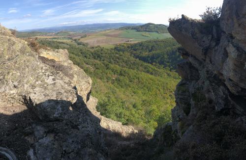 Smartphone (6137).JPG